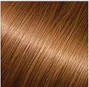 Medium Ash Brown