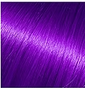 Purple Passion